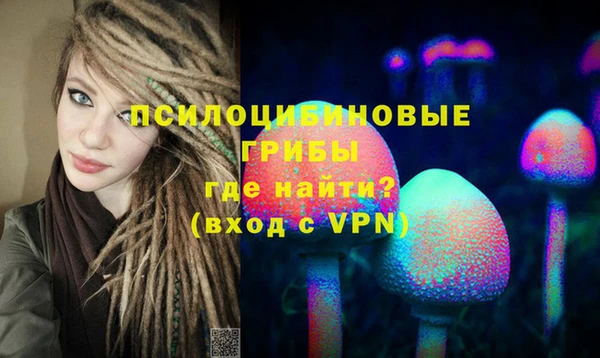 стафф Алексеевка