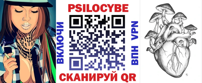 Галлюциногенные грибы Psilocybe Кимры