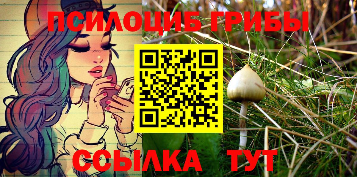 Кимры  Галлюциногенные грибы MAGIC MUSHROOMS  Вход с VPN 