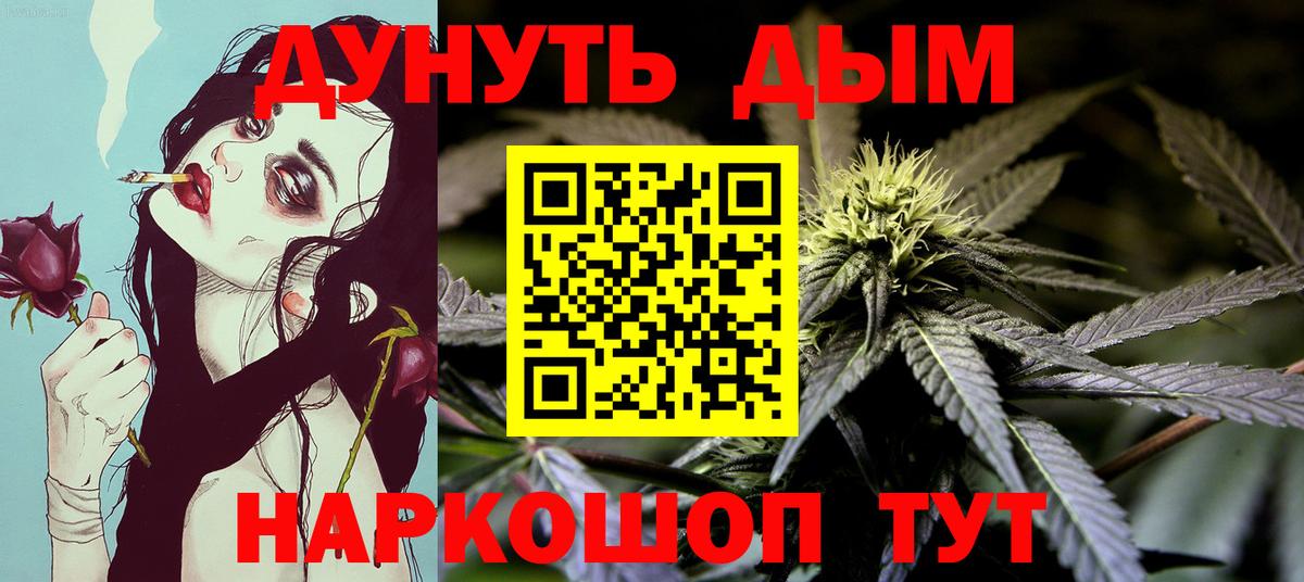 Конопля сатива Кимры
